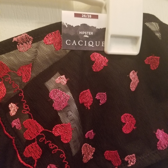 Lane Bryant Panties - Picture 3 of 5